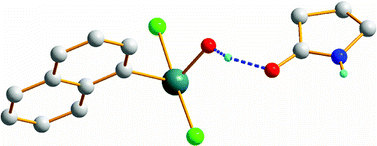 Graphical abstract: Controlled hydrolysis of aryltellurium trichlorides using 2-pyrrolidinones: isolation and structural characterization of monomeric aryltellurium(IV) monohydroxides