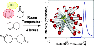 Graphical abstract: Toward biodegradable nanogel star polymers via organocatalytic ROP