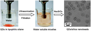 Graphical abstract: Organosilane micellization for direct encapsulation of hydrophobic quantum dots into silica beads with highly preserved fluorescence