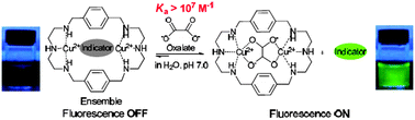 Graphical abstract: Highly selective and sensitive fluorescent sensing of oxalate in water