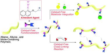 Graphical abstract: Cascade functionalization of unsaturated bond-containing polymers using ambident agents possessing both nitrile N-oxide and electrophilic functions
