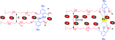 Graphical abstract: Metallodynameric membranes – are metallic ions facilitating the transport of CO2?