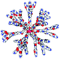 Graphical abstract: Dendritic closomers: novel spherical hybrid dendrimers