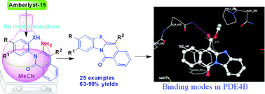 Graphical abstract: Vinylic amino group activation: a new and general strategy leading to functionalized fused heteroaromatics