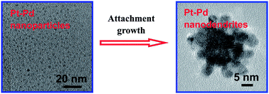 Graphical abstract: Facile synthesis of Pt–Pd nanodendrites and their superior electrocatalytic activity
