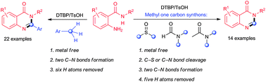 Graphical abstract: Metal-free oxidative synthesis of quinazolinones via dual amination of sp3 C–H bonds