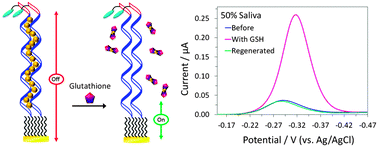 Graphical abstract: A Hg(ii)-mediated “signal-on” electrochemical glutathione sensor