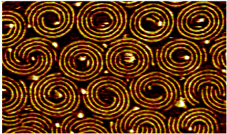 Graphical abstract: Hierarchical growth of curved organic nanowires upon evaporation induced self-assembly