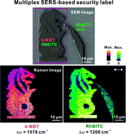 Graphical abstract: Multiplex plasmonic anti-counterfeiting security labels based on surface-enhanced Raman scattering