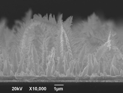 Graphical abstract: Magnetic CoFe2O4 films with controllable dendritic arrays by a combined method of electrodeposition and anode activation