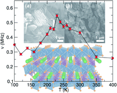 Graphical abstract: Muon studies of Li+ diffusion in LiFePO4 nanoparticles of different polymorphs