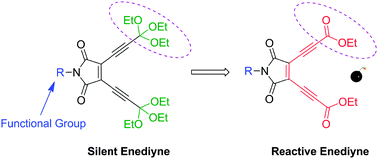 Graphical abstract: Maleimide-based acyclic enediyne for efficient DNA-cleavage and tumor cell suppression