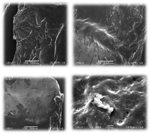 Graphical abstract: Inhibitors of thermally induced burn incidents – characterization by microbiological procedure, electrophoresis, SEM, DSC and IR spectroscopy