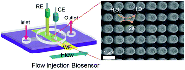 Graphical abstract: Nanopillar films with polyoxometalate-doped polyaniline for electrochemical detection of hydrogen peroxide