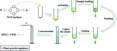 Graphical abstract: Simultaneous determination of six plant growth regulators in fruits using high performance liquid chromatography based on solid-phase extraction and cleanup with a novel mixed-mode functionalized calixarene sorbent