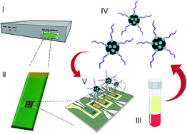 Graphical abstract: Implementing a strategy for on-chip detection of cell-free DNA fragments using GMR sensors: A translational application in cancer diagnostics using ALU elements