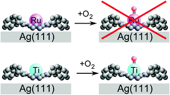 Graphical abstract: Immobilised molecular catalysts and the role of the supporting metal substrate