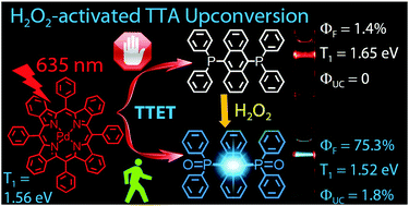 Graphical abstract: H2O2-activated triplet–triplet annihilation upconversion via modulation of the fluorescence quantum yields of the triplet acceptor and the triplet–triplet-energy-transfer efficiency
