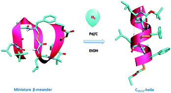 Graphical abstract: Engineering polypeptide folding through trans double bonds: transformation of miniature β-meanders to hybrid helices