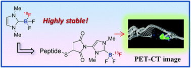 Graphical abstract: [18F]–NHC–BF3 adducts as water stable radio-prosthetic groups for PET imaging