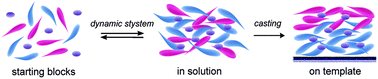 Graphical abstract: Dynameric asymmetric membranes for directional water transport