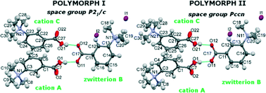 Graphical abstract: Rare stoichiometry of carboxyl–carboxylate benzbetaine complexes: in vitro versus in silico
