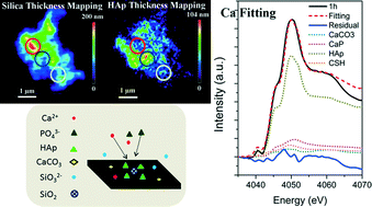 Graphical abstract: Tracking the transformations of mesoporous microspheres of calcium silicate hydrate at the nanoscale upon ibuprofen release: a XANES and STXM study
