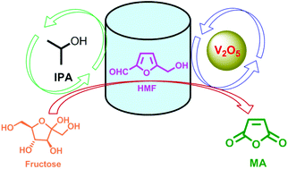 Graphical abstract: The conversion of 5-hydroxymethyl furfural (HMF) to maleic anhydride with vanadium-based heterogeneous catalysts