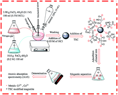 Graphical abstract: Synthesis and characterization of Fe3O4@TSC nanocomposite: highly efficient removal of toxic metal ions from aqueous medium