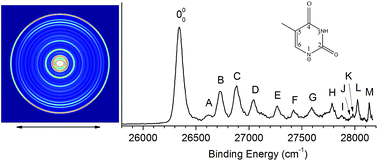 Graphical abstract: Probing the vibrational spectroscopy of the deprotonated thymine radical by photodetachment and state-selective autodetachment photoelectron spectroscopy via dipole-bound states