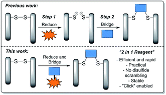 Graphical abstract: Next-generation disulfide stapling: reduction and functional re-bridging all in one