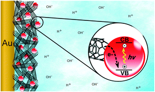 Graphical abstract: SWCNT photocathodes sensitised with InP/ZnS core–shell nanocrystals