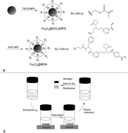 Graphical abstract: Magnetic dispersive solid-phase extraction based on a novel adsorbent for the detection of triazole pesticide residues in honey by HPLC-MS/MS
