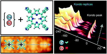 Graphical abstract: Electron–phonon coupling in engineered magnetic molecules