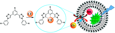 Graphical abstract: Oligo(aryl-triazole)s CH⋯Cl− interactions guide chloride efficient and selective transmembrane transport