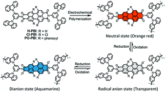 Graphical abstract: A perylene bisimide network for high-performance n-type electrochromism