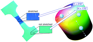 Graphical abstract: Hue-based quantification of mechanochromism towards a cost-effective detection of mechanical strain in polymer systems