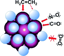 Graphical abstract: Reactivity of diatomics and of ethylene on zeolite-supported 13-atom platinum nanoclusters