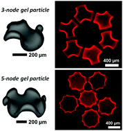 Graphical abstract: Programmable and reversible assembly of soft capillary multipoles