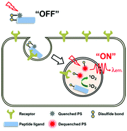 Graphical abstract: A redox-responsive theranostic agent for target-specific fluorescence imaging and photodynamic therapy of EGFR-overexpressing triple-negative breast cancers