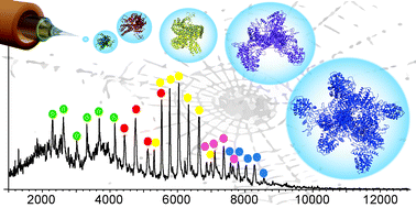 Graphical abstract: Mass spectrometry captures structural intermediates in protein fiber self-assembly