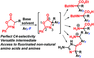 Graphical abstract: Polyfluoroarylation of oxazolones: access to non-natural fluorinated amino acids
