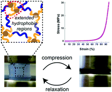Graphical abstract: Engineering tough, highly compressible, biodegradable hydrogels by tuning the network architecture