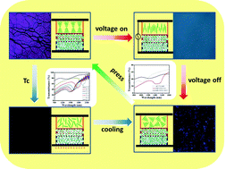 Graphical abstract: Tunable reflectance of an inverse opal–chiral nematic liquid crystal multilayer device by electric- or thermal-control