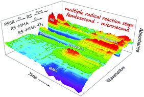Graphical abstract: Femtosecond to microsecond observation of the photochemical reaction of 1,2-di(quinolin-2-yl)disulfide with methyl methacrylate