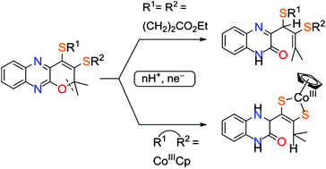 Graphical abstract: The unusual ring scission of a quinoxaline-pyran-fused dithiolene system related to molybdopterin