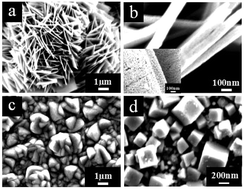 Graphical abstract: Efficient all p-type heterojunction photocathodes for photoelectrochemical water splitting