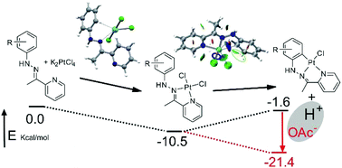 Graphical abstract: Preparation and characterization of terdentate [C,N,N] acetophenone and acetylpyridine hydrazone platinacycles: a DFT insight into the reaction mechanism