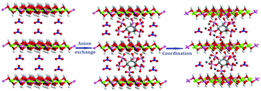 Graphical abstract: Enrichment of rare earth metal ions by the highly selective adsorption of phytate intercalated layered double hydroxide