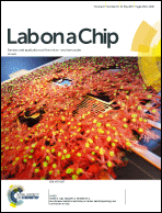 Graphical abstract: Inside front cover